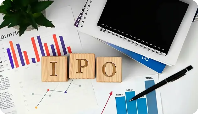 How Does an IPO Work